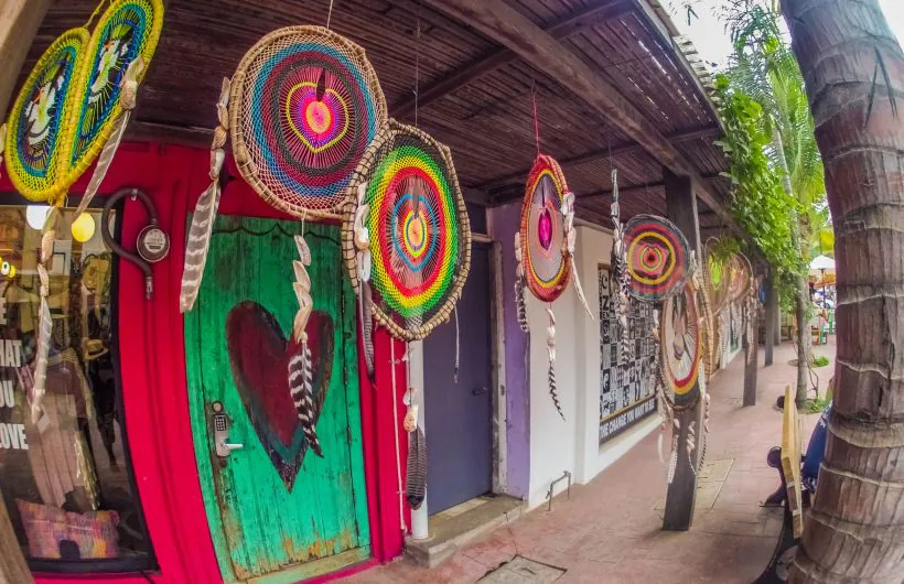 dcim100gopro